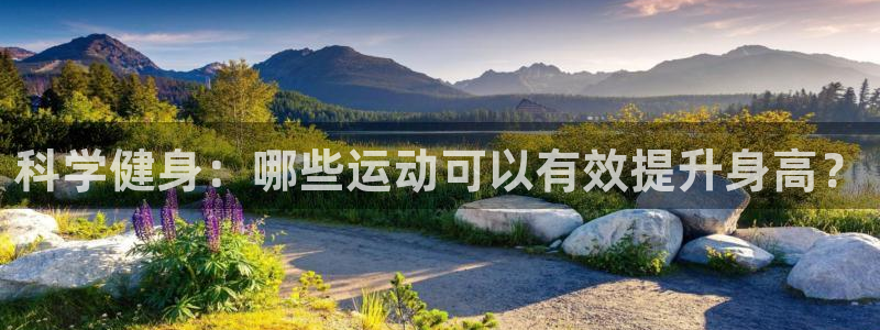 3377体育网页登录入口