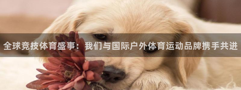 3377体育手机平台