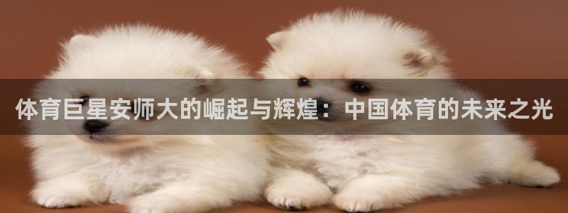 3377体育官网