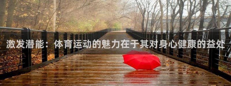 3377体育app登录入口
