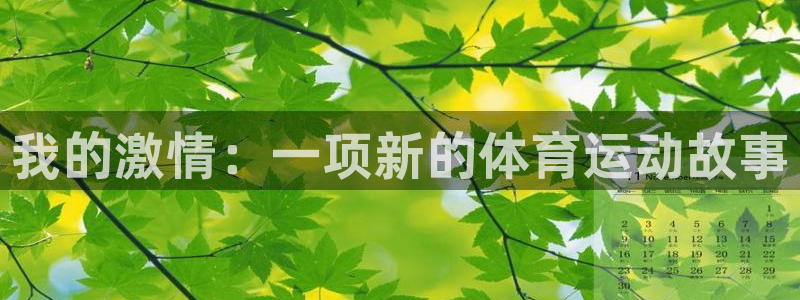 3377体育app官网下载地址