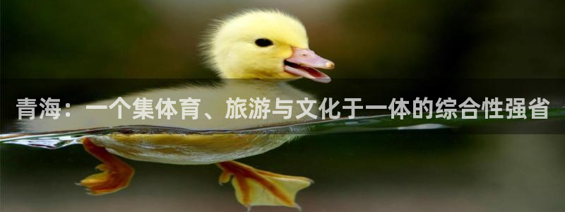 3377体育app登录入口