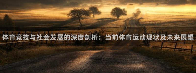 3377体育全网