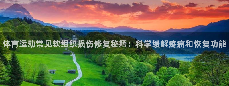 3377体育官网入口网页版