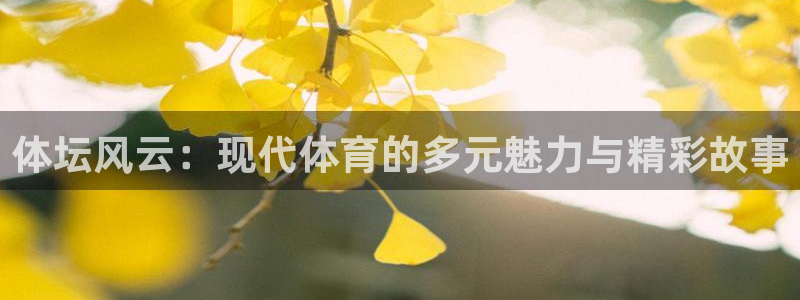 3377体育app官网下载地址