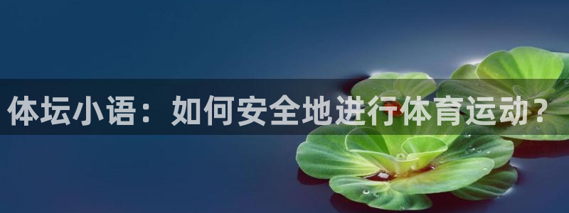 3377体育是正规平台吗