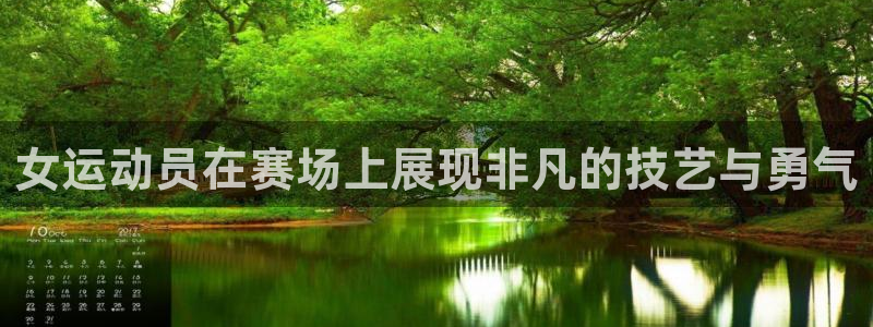 3377体育网页登录入口