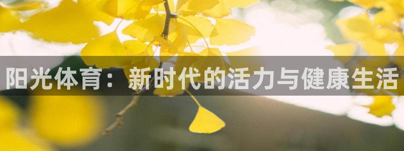 3377体育网页登录入口