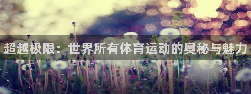 3377体育app官方下载