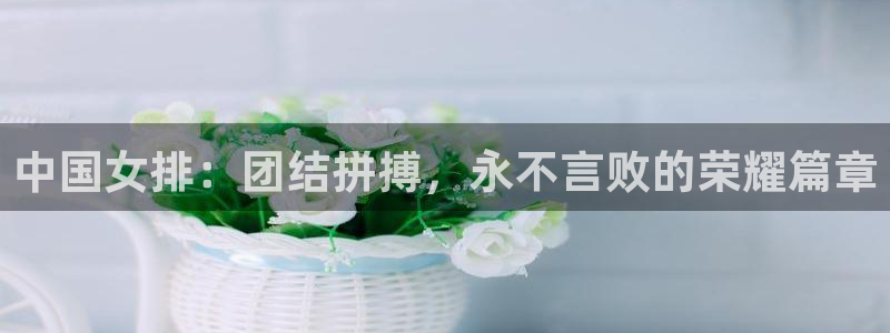 3377体育官网