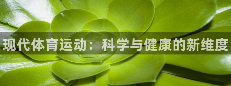 3377体育app官网下载地址