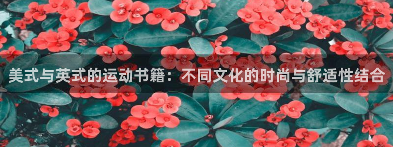 3377体育全网