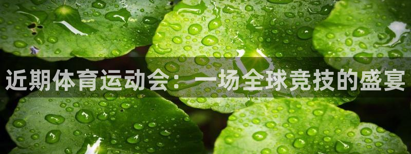 3377体育手机平台